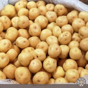 papa criolla o amarilla