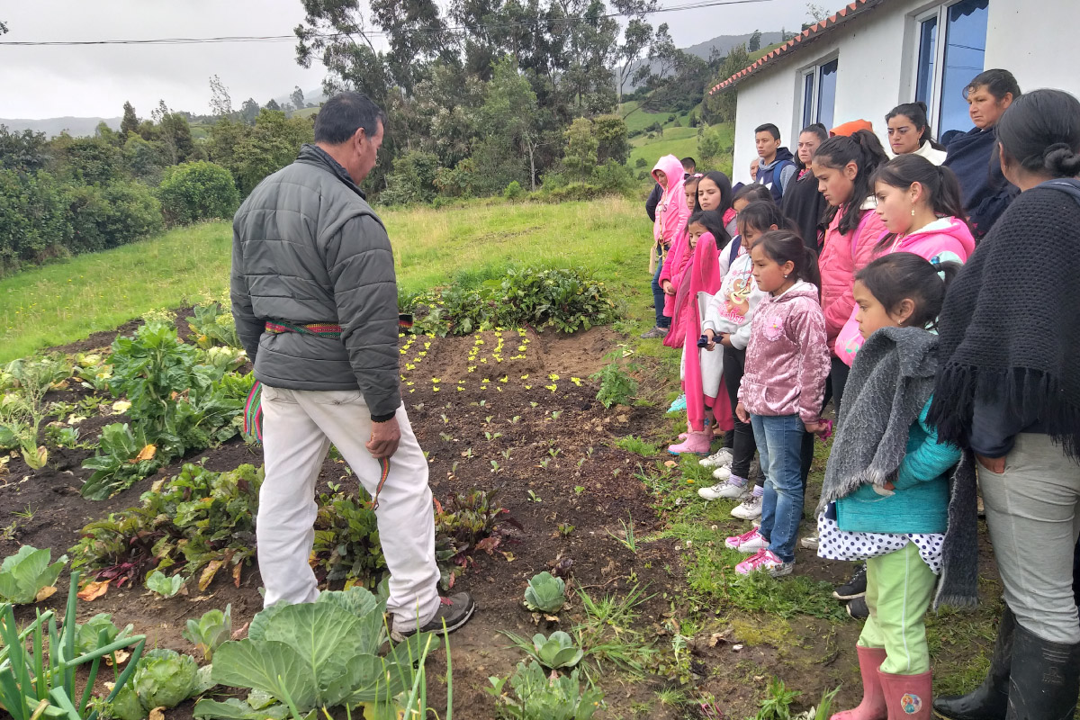 Yo te alimento sano y limpio - Resguardo Indígena Gran Tescual Puerres Nariño