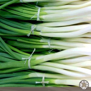 Venta de Cebolla larga Puerres Nariño