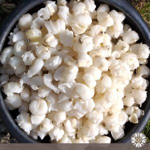 Venta de maíz Puerres Nariño