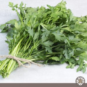 Venta de cilantro Puerres Nariño