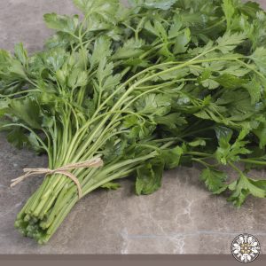 Venta de perejil Puerres Nariño