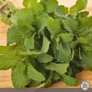 Venta de menta Puerres Nariño