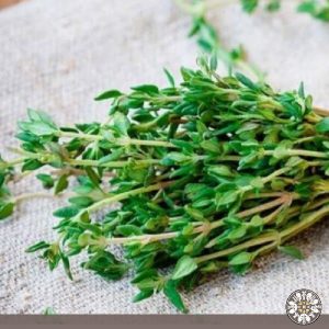 Venta de tomillo Puerres Nariño